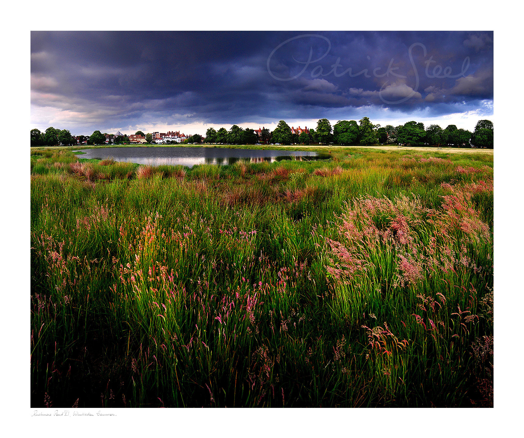 Title: Rushmere Pond VI, Wimbledon Common | <a href=