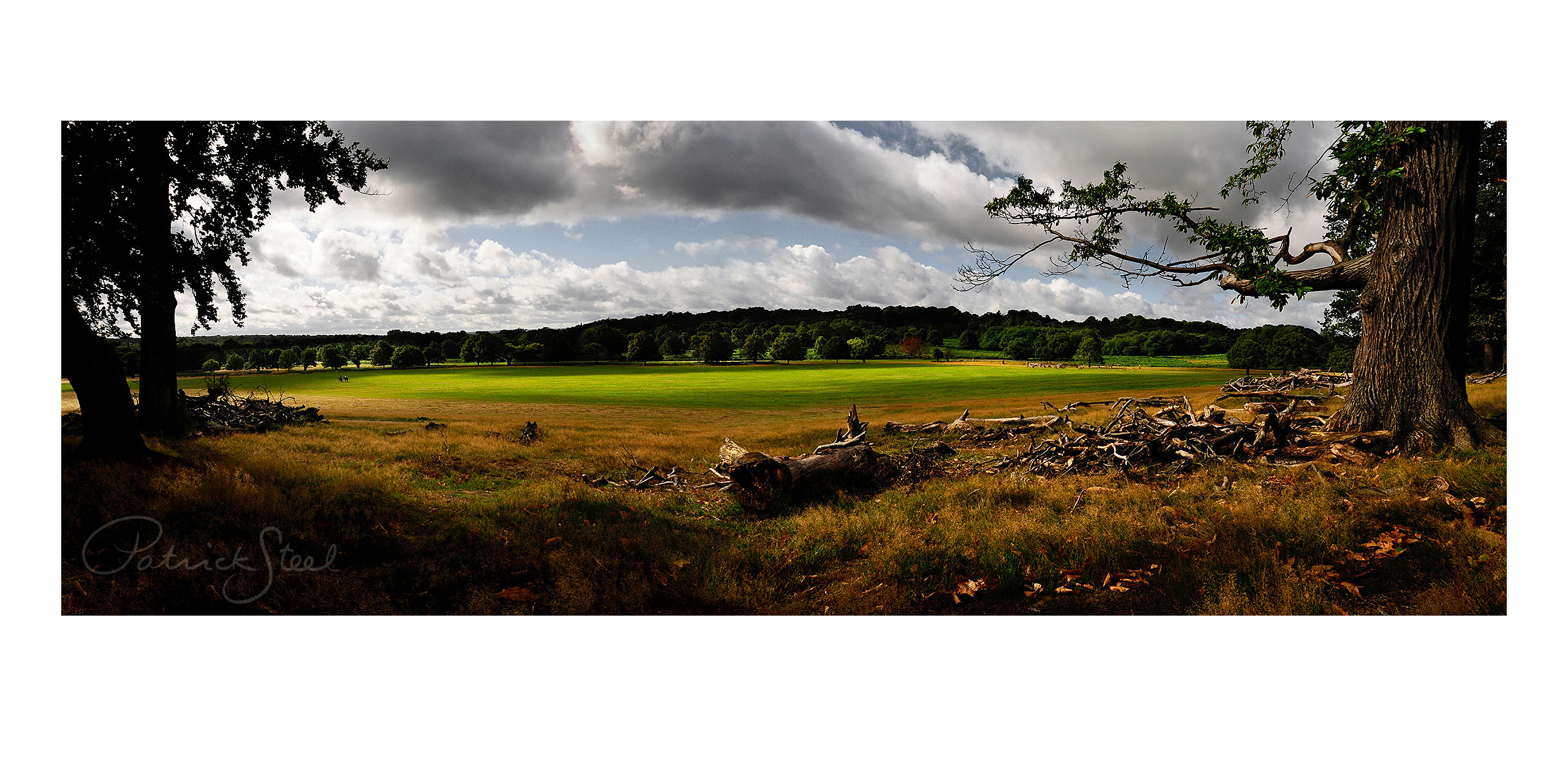 Title: View South West from Spankers Hill Wood, Richmond Park | <a href=